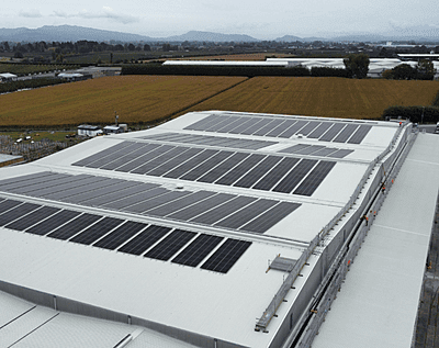 Tauriko 2 NuGreen-Tauriko 2